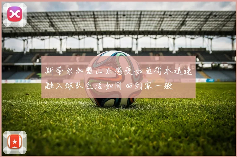 斯蒂尔加盟山东感受如鱼得水迅速融入球队生活如同回到家一般