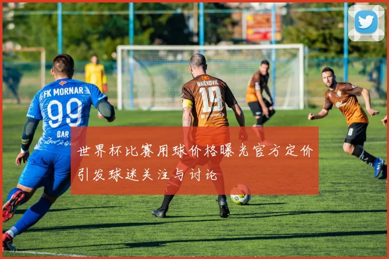 世界杯比赛用球价格曝光官方定价引发球迷关注与讨论
