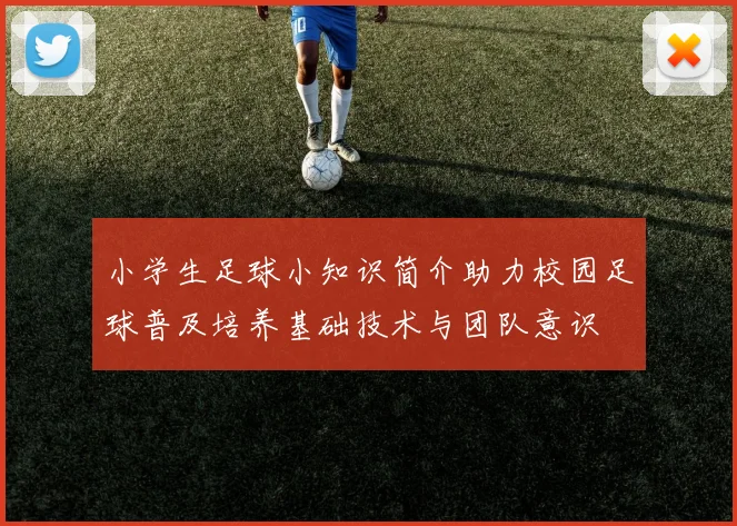 小学生足球小知识简介助力校园足球普及培养基础技术与团队意识