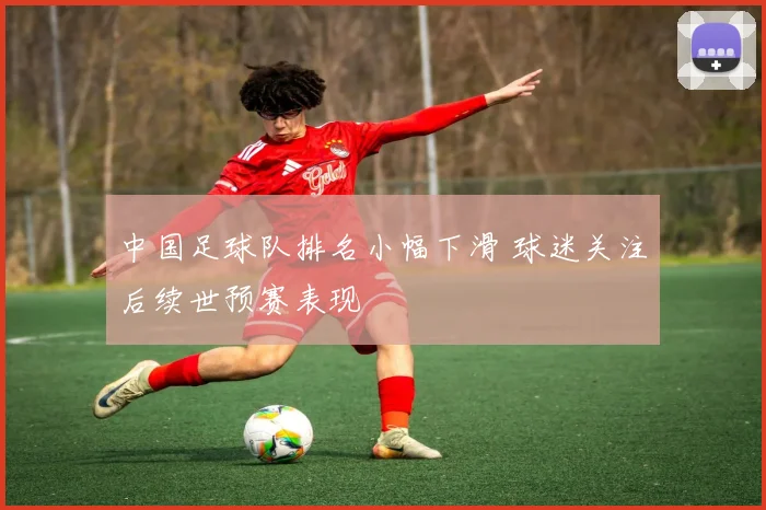 中国足球队排名小幅下滑 球迷关注后续世预赛表现